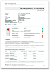 Renseignement économique Protection contre les dommages financiers grâce à des informations économiques complètes sur les entreprises en Suisse.